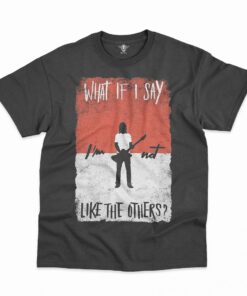 Foo Fighters Classic T-Shirt DL FF2DDS1601 (20)